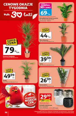 Auchan - gazetka promocyjna Gazetka 30 Lat Hipermarket Auchan od czwartku 19.02 do środy 25.02 - strona 36