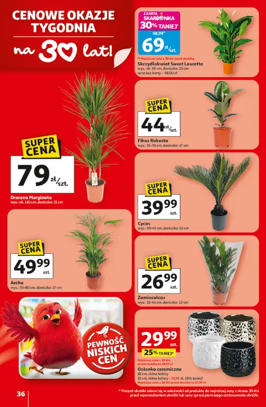 Auchan - gazetka promocyjna Gazetka 30 Lat Hipermarket Auchan od czwartku 19.02 do środy 25.02 - strona 36