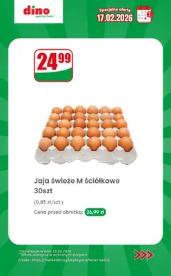 Dino - gazetka promocyjna Specjalna oferta na 17.02.2026 - promocje spoza gazetki od wtorku 17.02 do wtorku 17.02 - strona 8