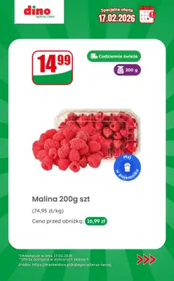 Dino - gazetka promocyjna Specjalna oferta na 17.02.2026 - promocje spoza gazetki od wtorku 17.02 do wtorku 17.02 - strona 2