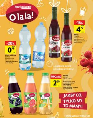 Intermarche - gazetka promocyjna Katalog od czwartku 19.02 do środy 04.03 - strona 13