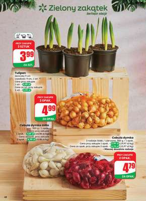 Dino - gazetka promocyjna Gazetka 08 / 2026 od środy 18.02 do wtorku 24.02 - strona 48