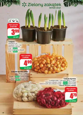 Dino - gazetka promocyjna Gazetka 08 / 2026 od środy 18.02 do wtorku 24.02 - strona 48