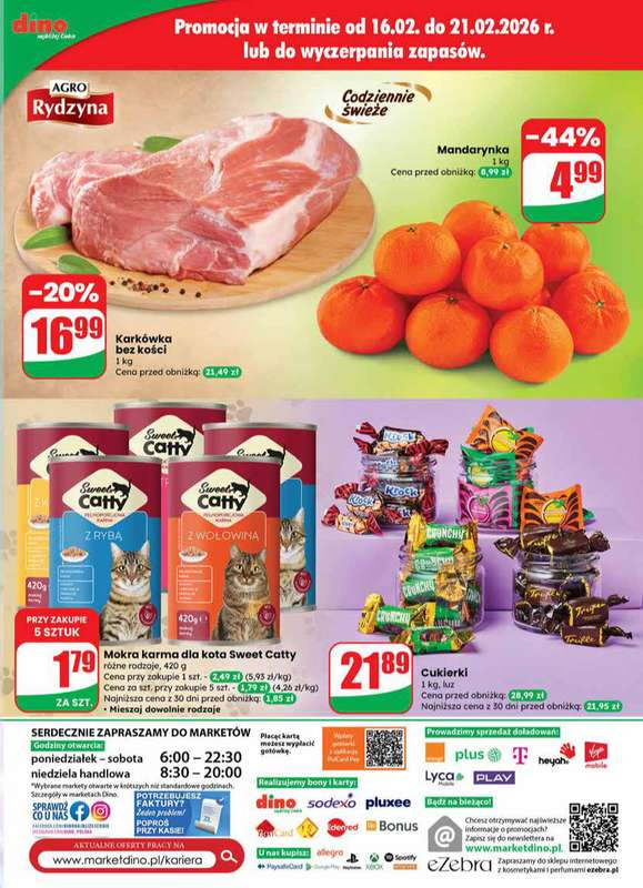 Dino - gazetka promocyjna Gazetka 08 / 2026 od środy 18.02 do wtorku 24.02 - strona 63