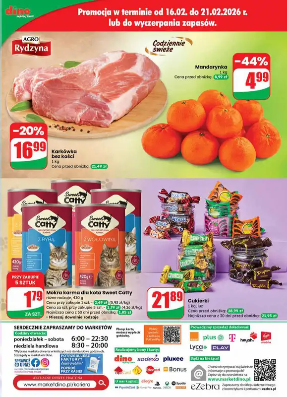 Dino - gazetka promocyjna Gazetka 08 / 2026 od środy 18.02 do wtorku 24.02 - strona 63