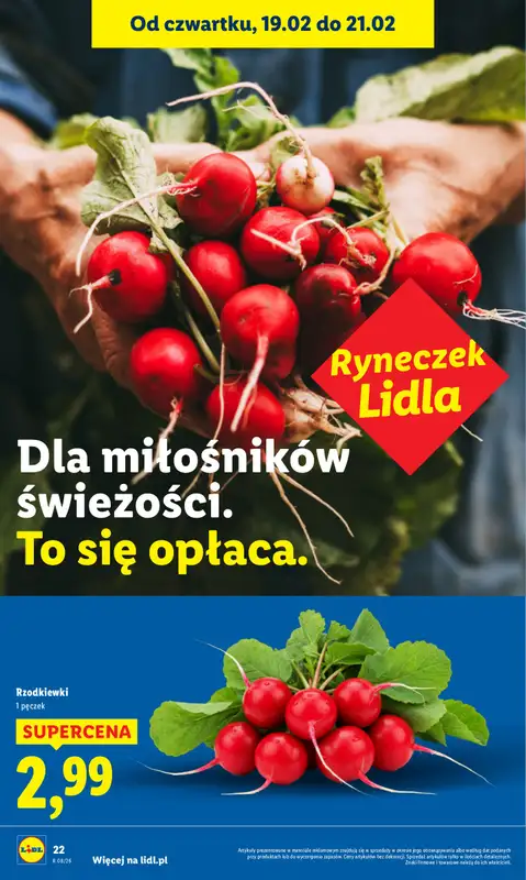 Lidl - gazetka promocyjna Oferta od czwartku od czwartku 19.02 do soboty 21.02 - strona 22