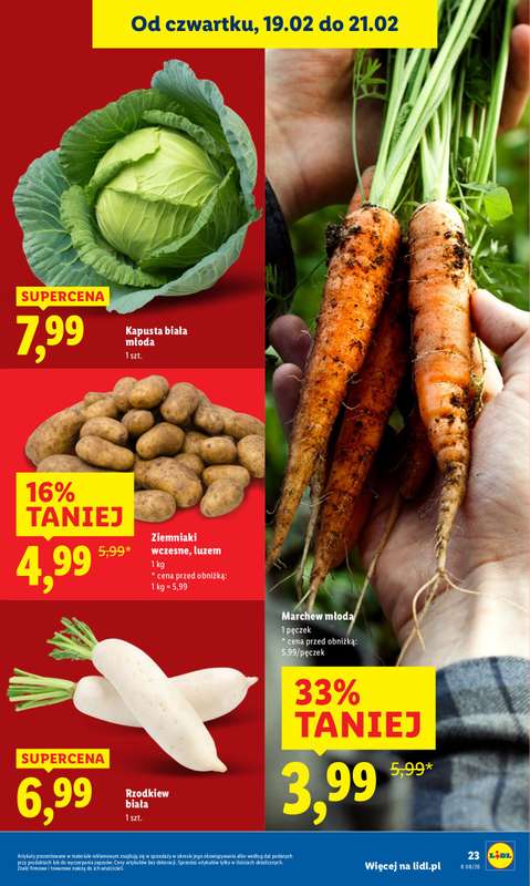 Lidl - gazetka promocyjna Oferta od czwartku od czwartku 19.02 do soboty 21.02 - strona 23