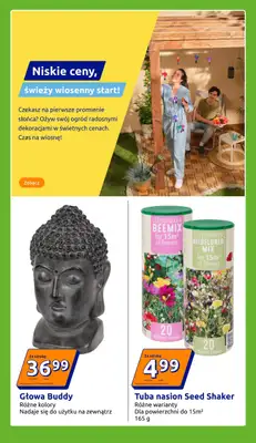 Action - gazetka promocyjna Gazetka od środy 18.02 do wtorku 24.02 - strona 13