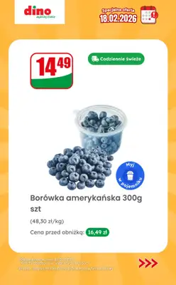Dino - gazetka promocyjna Specjalna oferta na 18.02.2026 - promocje spoza gazetki od środy 18.02 do środy 18.02 - strona 3