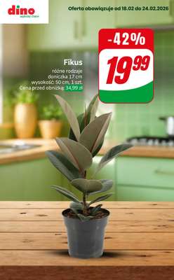 Dino - gazetka promocyjna Nawet do -42% TANIEJ od czwartku 19.02 do wtorku 24.02 - strona 7