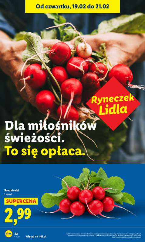 Lidl - gazetka promocyjna Oferta od czwartku od czwartku 19.02 do soboty 21.02 - strona 22