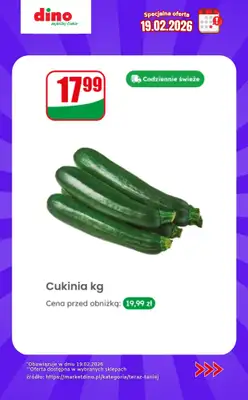 Dino - gazetka promocyjna Specjalna oferta na 19.02.2026 - promocje spoza gazetki od czwartku 19.02 do czwartku 19.02 - strona 5
