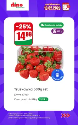 Dino - gazetka promocyjna Specjalna oferta na 19.02.2026 - promocje spoza gazetki od czwartku 19.02 do czwartku 19.02 - strona 4