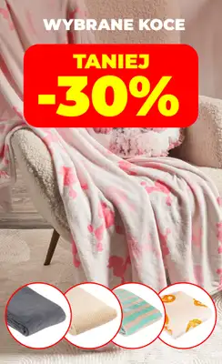 Dealz - gazetka promocyjna Make a Dealz! od czwartku 19.02 do środy 25.02 - strona 29