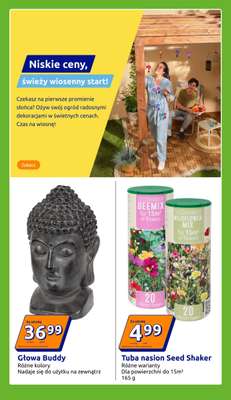 Action - gazetka promocyjna Gazetka od środy 18.02 do wtorku 24.02 - strona 13