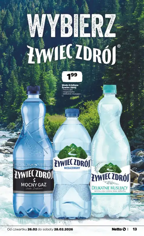 Netto - gazetka promocyjna Gazetka  do soboty 28.02 - strona 13