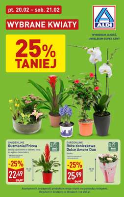 Aldi - gazetka promocyjna Wybrane kwiaty w super cenach Aldi! od piątku 20.02 do soboty 21.02