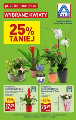 Aldi - gazetka promocyjna Wybrane kwiaty w super cenach Aldi! od piątku 20.02 do soboty 21.02
