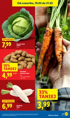 Lidl - gazetka promocyjna Oferta od czwartku od czwartku 19.02 do soboty 21.02 - strona 25