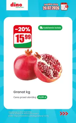 Dino - gazetka promocyjna Specjalna oferta na 20.02.2026 - promocje spoza gazetki od piątku 20.02 do piątku 20.02 - strona 3