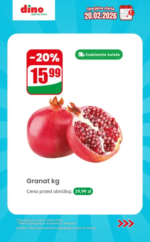 Dino - gazetka promocyjna Specjalna oferta na 20.02.2026 - promocje spoza gazetki od piątku 20.02 do piątku 20.02 - strona 3