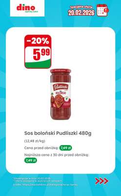 Dino - gazetka promocyjna Specjalna oferta na 20.02.2026 - promocje spoza gazetki od piątku 20.02 do piątku 20.02 - strona 6