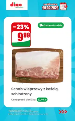 Dino - gazetka promocyjna Specjalna oferta na 20.02.2026 - promocje spoza gazetki od piątku 20.02 do piątku 20.02 - strona 4