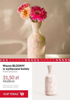 Homla - gazetka promocyjna Dekoracje do domu od piątku 20.02  - strona 13