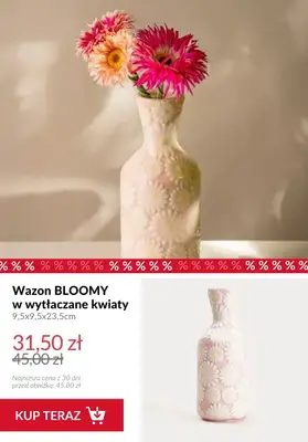 Homla - gazetka promocyjna Dekoracje do domu od piątku 20.02  - strona 13