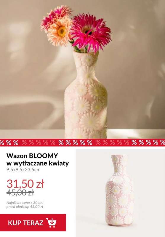 Homla - gazetka promocyjna Dekoracje do domu od piątku 20.02  - strona 13