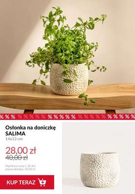 Homla - gazetka promocyjna Dekoracje do domu od piątku 20.02  - strona 4