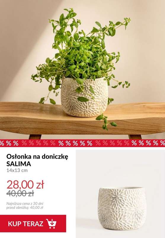 Homla - gazetka promocyjna Dekoracje do domu od piątku 20.02  - strona 4