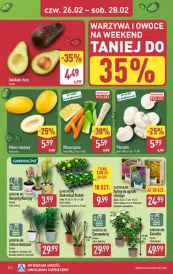 Aldi - gazetka promocyjna Pełny katalog! od poniedziałku 23.02 do soboty 28.02 - strona 32