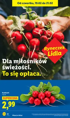 Lidl - gazetka promocyjna Oferta od czwartku od czwartku 19.02 do soboty 21.02 - strona 24