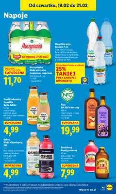 Lidl - gazetka promocyjna Oferta od czwartku od czwartku 19.02 do soboty 21.02 - strona 45