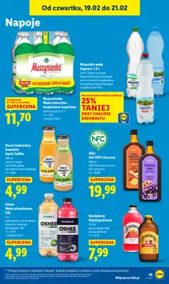 Lidl - gazetka promocyjna Oferta od czwartku od czwartku 19.02 do soboty 21.02 - strona 45