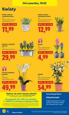 Lidl - gazetka promocyjna Oferta od czwartku od czwartku 19.02 do soboty 21.02 - strona 54
