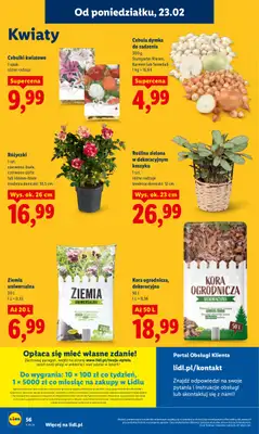 Lidl - gazetka promocyjna Oferta od poniedziałku od poniedziałku 23.02 do środy 25.02 - strona 56