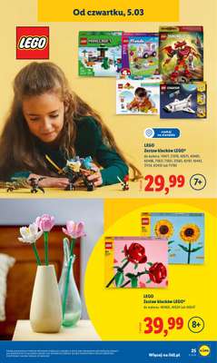 Lidl - gazetka promocyjna Katalog od poniedziałku 02.03 do soboty 07.03 - strona 31