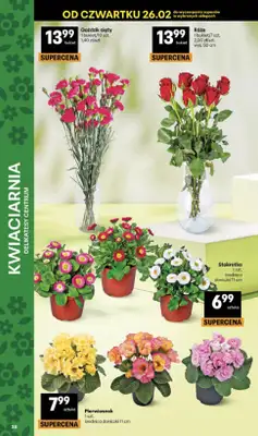 Delikatesy Centrum - gazetka promocyjna Gazetka  do środy 04.03 - strona 38