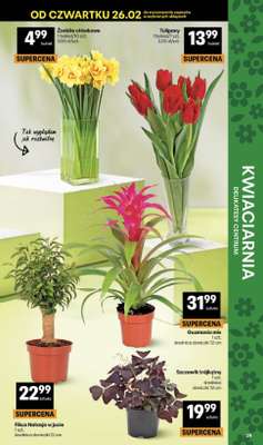 Delikatesy Centrum - gazetka promocyjna Gazetka  do środy 04.03 - strona 39