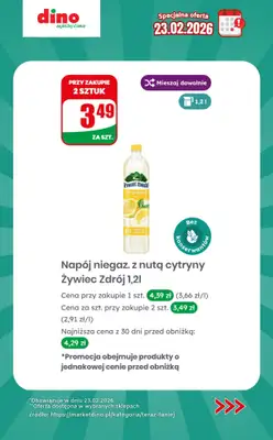 Dino - gazetka promocyjna Specjalna oferta na 23.02.2026 - promocje spoza gazetki od poniedziałku 23.02 do poniedziałku 23.02 - strona 4