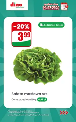 Dino - gazetka promocyjna Specjalna oferta na 23.02.2026 - promocje spoza gazetki od poniedziałku 23.02 do poniedziałku 23.02 - strona 2