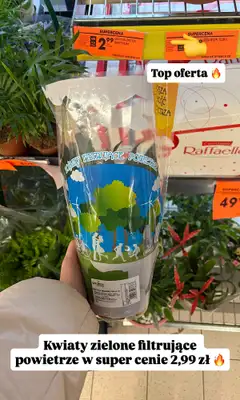 Biedronka - gazetka promocyjna Zakupowe Inspiracje w Biedronka od wtorku 24.02  - strona 2