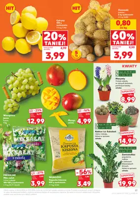 Kaufland - gazetka promocyjna Oferta Kaufland  do środy 04.03 - strona 17