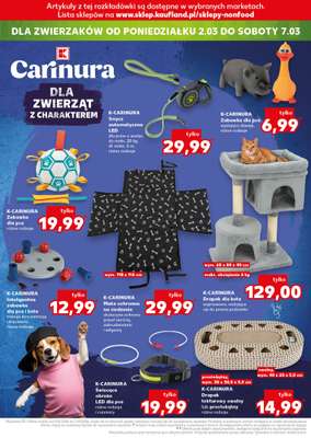 Kaufland - gazetka promocyjna Oferta Kaufland - Non Food od czwartku 26.02 do środy 04.03 - strona 18