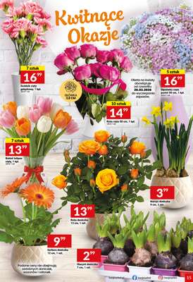 Twój Market - gazetka promocyjna Gazetka od środy 25.02 do wtorku 03.03 - strona 15