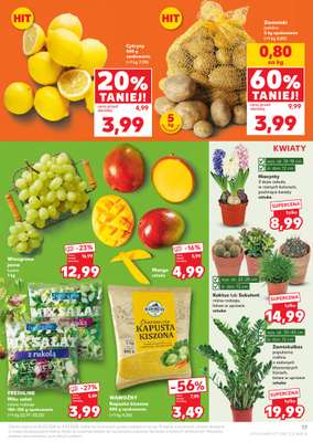 Kaufland - gazetka promocyjna Oferta Kaufland od czwartku 26.02 do środy 04.03 - strona 17