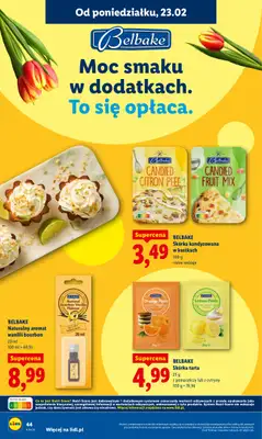 Lidl - gazetka promocyjna Oferta od poniedziałku od poniedziałku 23.02 do środy 25.02 - strona 44