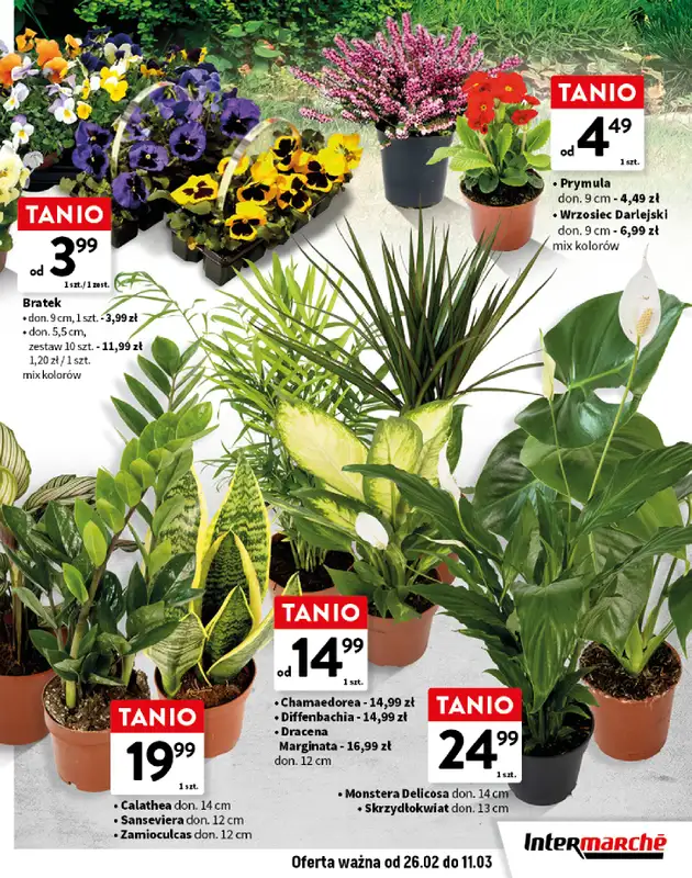 Intermarche - gazetka promocyjna Katalog Wiosna w ogrodzie od czwartku 26.02 do środy 11.03 - strona 7